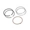 Briggs & Stratton RING SET 843806 - alternate 1